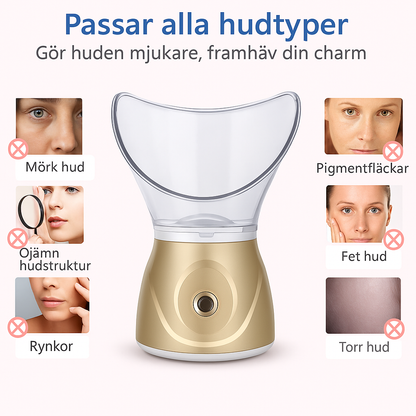 Beauty Steaming Face Instrument